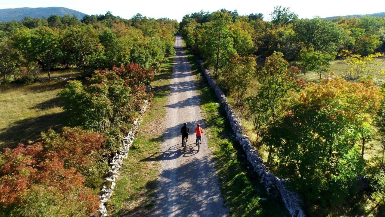 Vila Brinovka Kostanjevica na Krasu Eksteriør bilde
